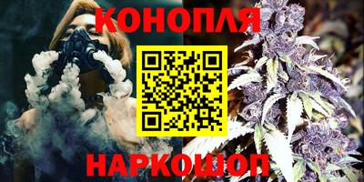 шишки Обь